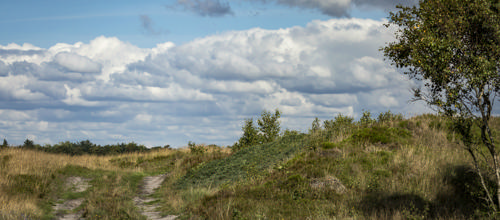 Temamøde: Jordfordeling kan gavne både landbrug, natur, miljø og brugere af naturen